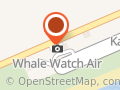 Wings Over Whales
