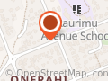 Raurimu Avenue School