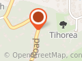 The Spreading Tree Retreat