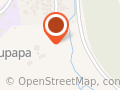 Te Kura Kaupapa O Te Puaha O Waikato