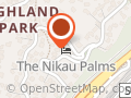 The Nikau Palms