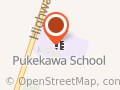 Pukekawa School