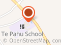Te Pahu School