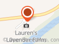 Laurens Lavender