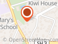 King Kiwi Supplies