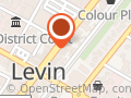 Copycat Levin