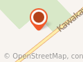 Kunekune Association