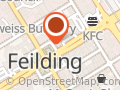 Shosha Feilding