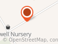 Pin Oaks Bed & Breakfast