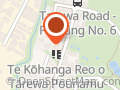 P?kenga Mahi