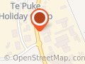 Te Puke Canvas