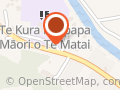 Te Kura Kaupapa Maori o Te Matai