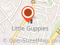 Little Guppies Early Childhood Learning Centre Preschool