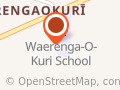 Waerenga-o-Kuri School