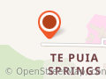 Te Puia Springs School