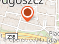 Frytki belgijskie w Bydgoszczy