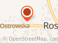 DHL Express Service Point (Moya Rososzyce)