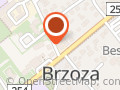 Auto-Brzoza Centrum. P. Plata