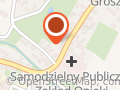 Kiziński Marian. Transport Krajowy i Międzynarodowy