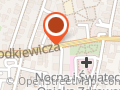 Manualne Leczenie Narządów Ruchu Dzieci i Dorosłych Wiesław Giziński