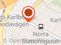 Sveriges Kvinnolobby