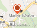 Oriental virág ajándék üzlet