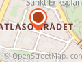 Yoga Synergy Sweden - mielestrega