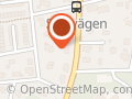 Denizen of Sweden