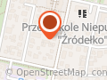 Decor Poland. Importer kwiatów sztucznych