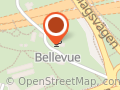 Bellevue Café