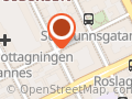 Tusen Sköna Salong