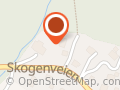 De Gode Valg Guri Johanne Kiil