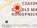 Pędzieszczak Włodzimierz. Taksówka