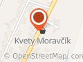 Pavol Moravčík - Balkónové kvety