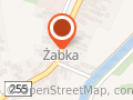 Transcar. Brzykcy Ł.