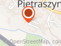 Cronex Technika Lakiernicza