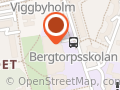 Bergtorpsskolans Skolidrottsförening