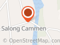 Salong Cammen
