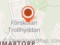 Tvättbjörnen