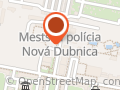 MESTSKÁ POLÍCIA