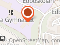 Östra Gymnasiets Skol-IF