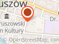 Maciejewska A. Ubezpieczenia