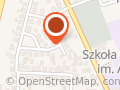 Bąk Kazimierz. Transport Turystyczny