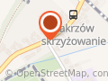 Prosiaczek Hiacynta Kanzy