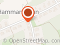 Hammarskolan