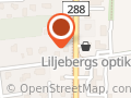 Bergström Ann