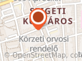 Dr. Kincses Veronika