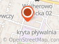 Szkółka pływania "Foczka" zapewnia