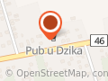 Pub u Dzika