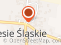 Ochotnicza Straż Pożarna Zalesie Śląskie